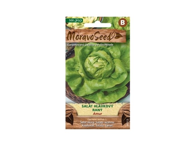 54404 salat hlavkovy amur moravoseed