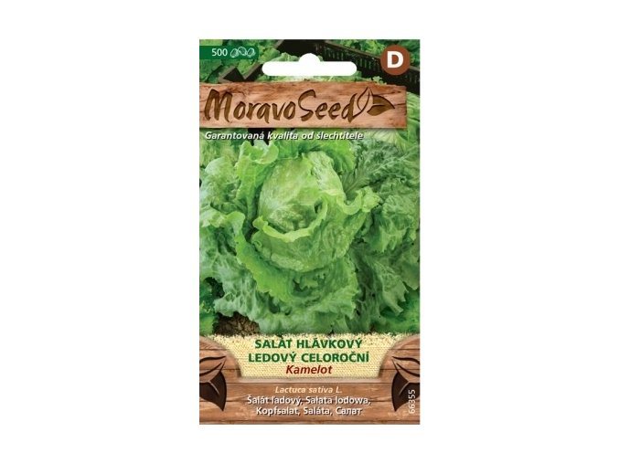 54482 salat ledovy kamelot moravoseed
