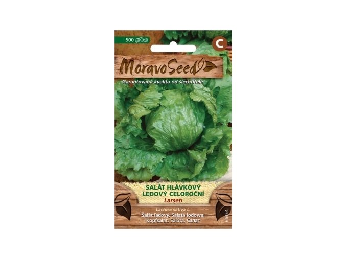 54485 salat ledovy larsen moravoseed