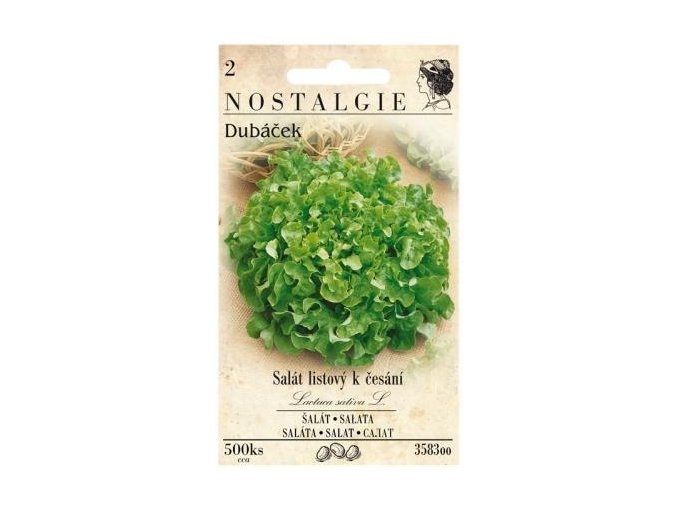 54500 salat listovy dubacek nostalgie