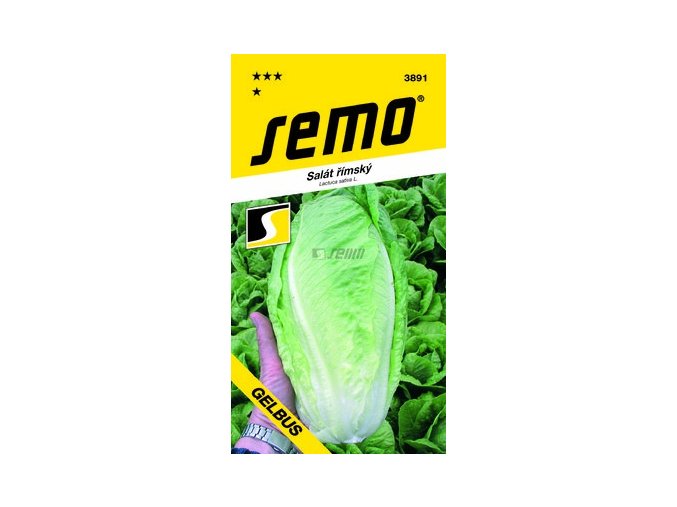 54509 salat rimsky gelbus 0 7g