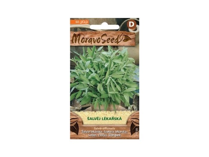 57284 salvej lekarska moravoseed