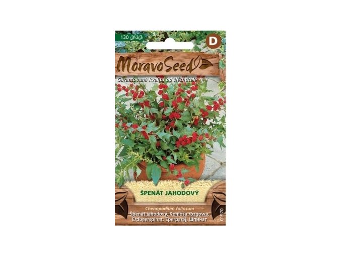 57344 spenat jahodovy moravoseed