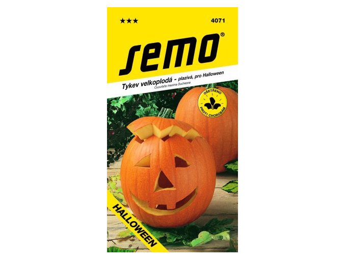 59048 tykev plaziva gran gigante halloween 2g