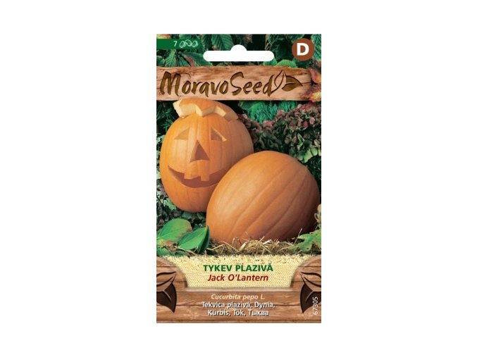 59096 tykev plaziva jack o lantern moravoseed