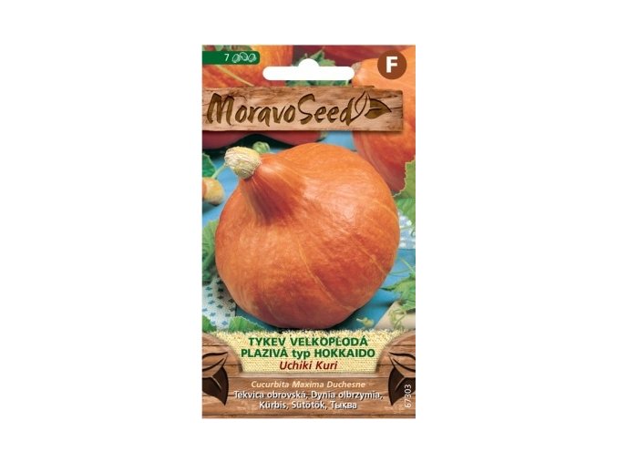 59099 tykev plaziva uchiki kuri typ hokkaido moravoseed