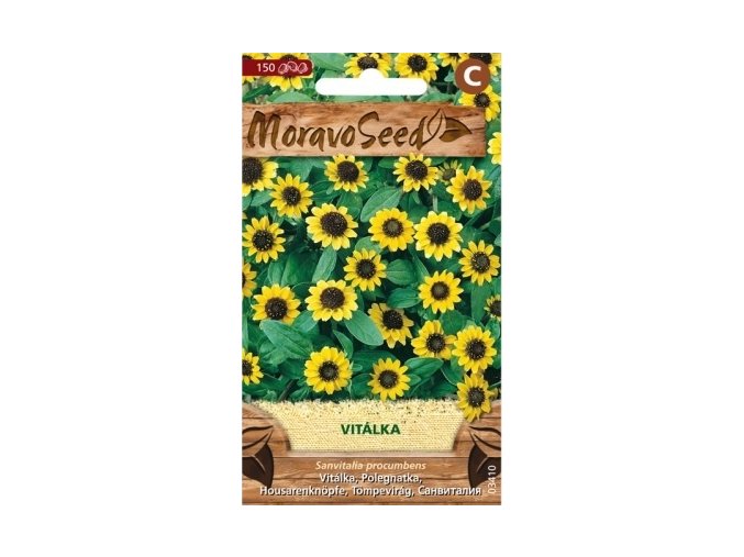 59381 vitalka polozena moravoseed