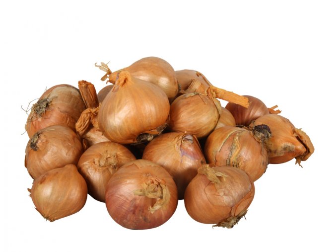 Sazečka - šalotka červená Red Sun 500g 35-50mm