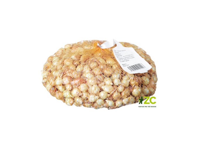 Sazečka - Štutgart (8-16 mm) (hmotnost 250 g)