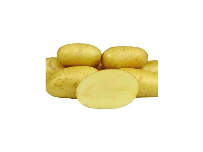 64985 1 sadba brambor colette 5 kg vr