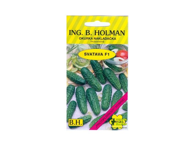 10b69d72 7f78 4090 8dfd 144e1278bc79