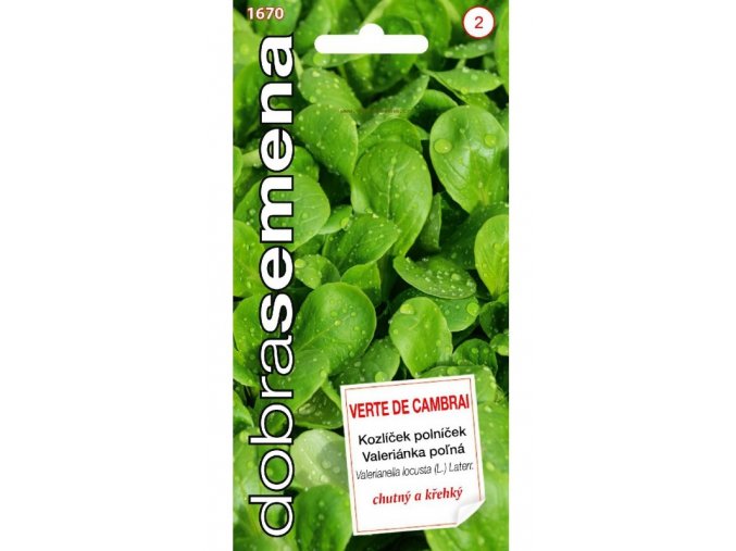 VERTE DE CAMBRAI 2 g Kozlicek polnicek