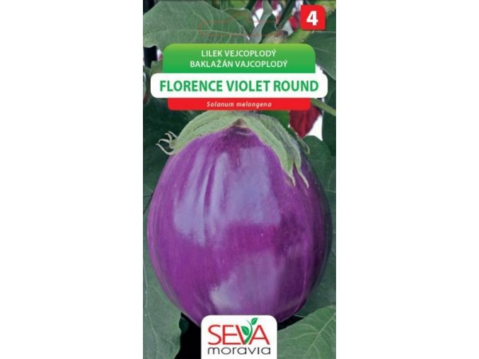 Lilek vejcoplodý FLORENCE VIOLET ROUND_0,6 g OSIVA MORAVIA