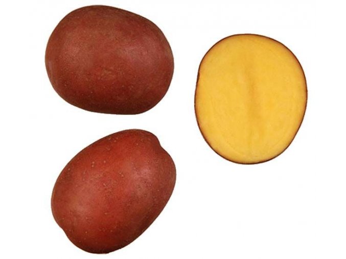 Sadba brambor Red Anna 5 kg, PR, A/B