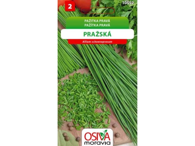 Pažitka pravá PRAŽSKÁ_1,5 g OSIVA MORAVIA
