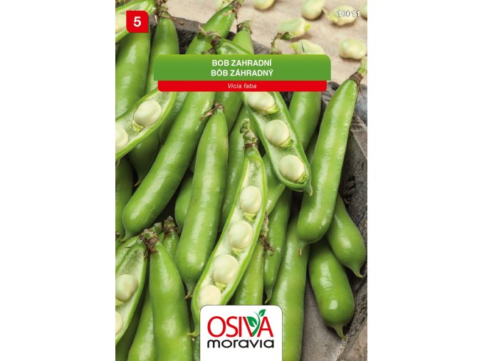 b125d9e5 00fd 4172 8ad6 253460c7a38c