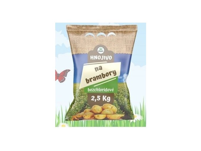 brambory 4 2025