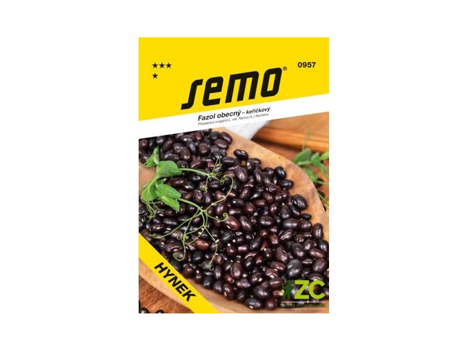 95e54cc9 90e6 4d78 8a0e cfd8adfd1070