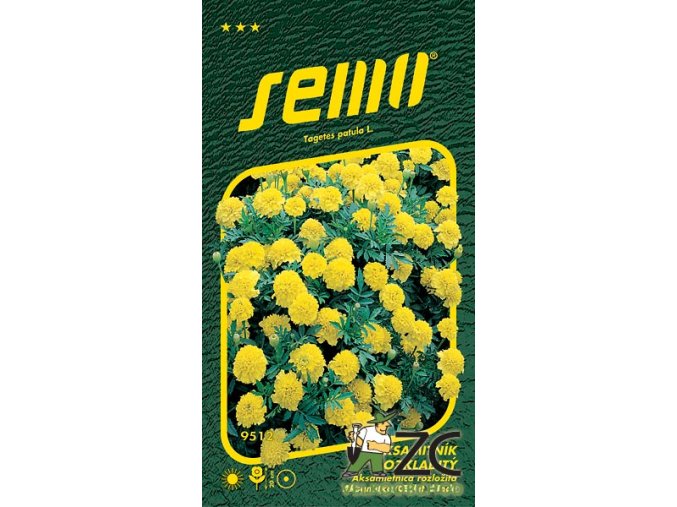 40466 1 aksamitnik rozkladity lemon drop 1g