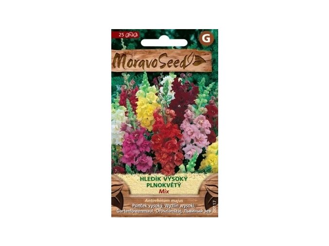 44189 hledik vysoky plnokvety mix moravoseed