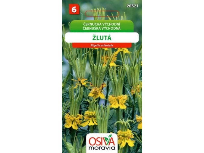 Černucha východní žlutá_0,8 g OSIVA MORAVIA EXPIRACE