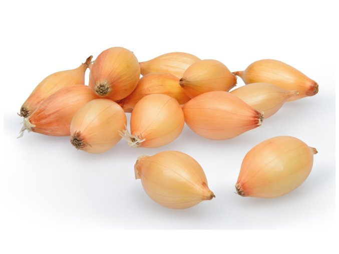 Cibule sazečka AUGUSTA ozimá 500g 8-21mm