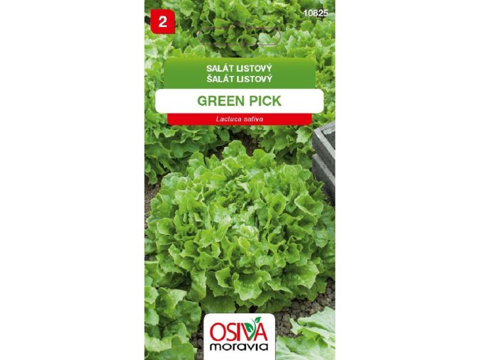Salát listový trhací zel. GREEN PICK_0,3 g OSIVA MORAVIA
