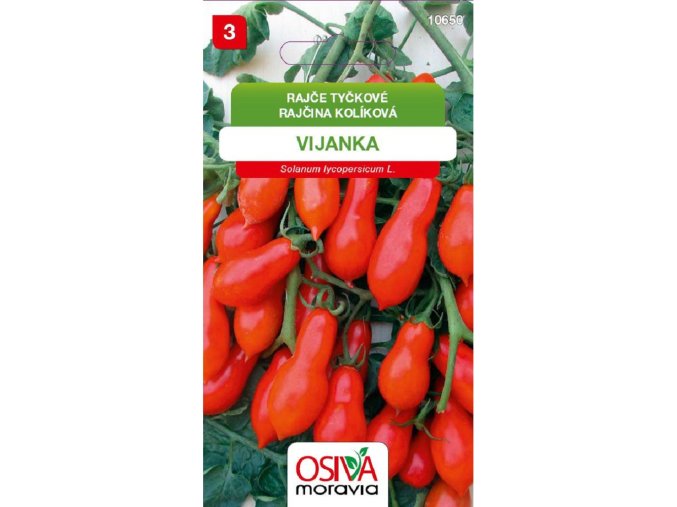 Rajče tyčk. Rybízové VIJANKA_0,15 g OSIVA MORAVIA