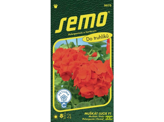 78fd6f2d d75d 45b6 9db9 c929e2ba77b9 (1)