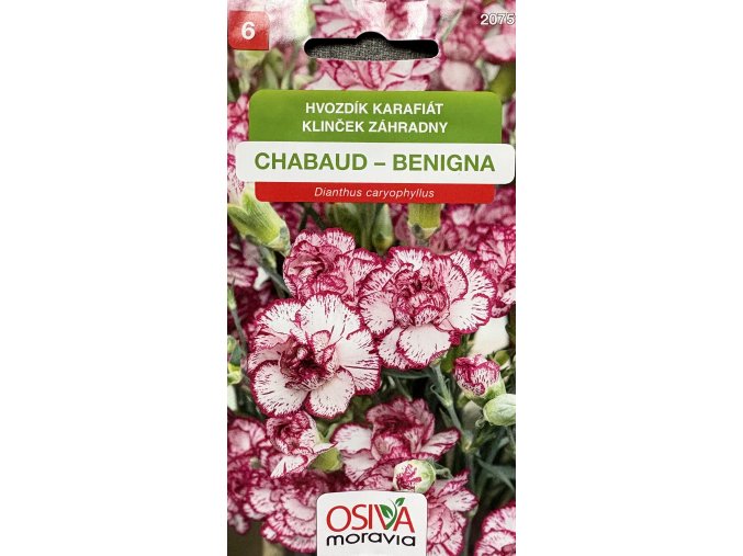 Hvozdík karafiát Chabaud Benigna_0,5 g OSIVA MORAVIA