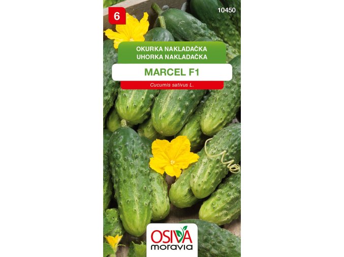 3f3f9049 dd7e 4f14 84cf ba562a37e91e