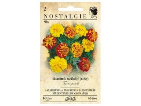 40490 aksamitnik rozkladity nizky mix nostalgie