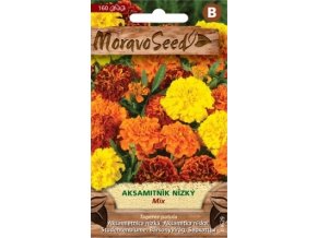 40493 aksamitnik rozkladity plnokvety mix moravoseed