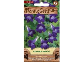 40601 asarina pnouci moravoseed