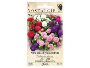 40694 astra nizka chryzantemokveta mix nostalgie