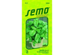 40823 bazalka prava lettuce leaf salatova 1g