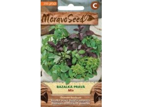 40862 bazalka prava mix moravoseed