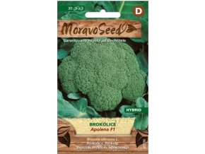 41375 brokolice apolena f1 moravoseed