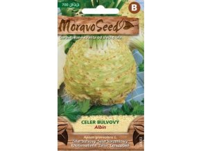 41606 celer bulvovy albin moravoseed