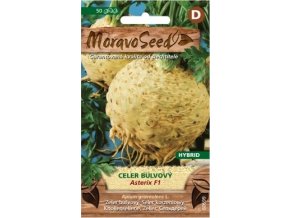 41612 celer bulvovy asterix f1 moravoseed