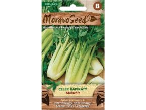 41642 celer rapikaty malachit moravoseed