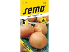 41702 cibule jarni dagmar 2 5g