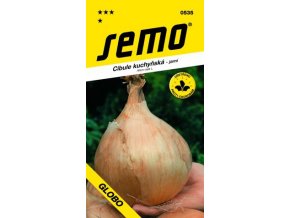 41708 cibule jarni globo 1g