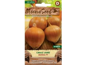 41741 cibule jarni amfora f1 moravoseed