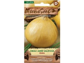 41747 cibule jarni globo moravoseed