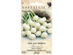 41762 cibule jarni pompei nostalgie