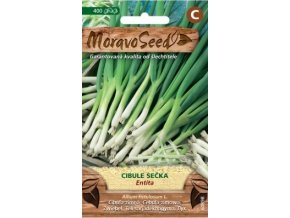 41810 cibule secka entita moravoseed