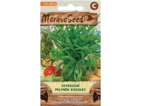 43211 estragon pelynek kozalec moravoseed