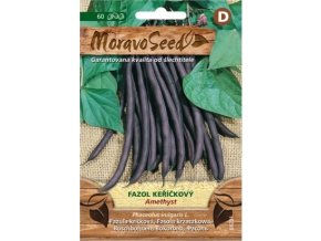 43259 fazol kerickovy amethyst moravoseed