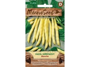 43262 fazol kerickovy blanche moravoseed